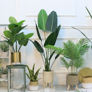 No se deforma ni se puede imitar el centro comercial - Product Image 6