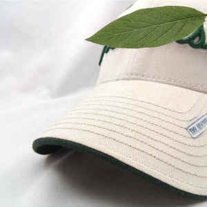 Gorra de béisbol clásica Unisex de 5 paneles 2025 algodón bordado 3D gorra de deportes al aire libre de invierno de alta calidad al por mayor 100% - Product Image 3