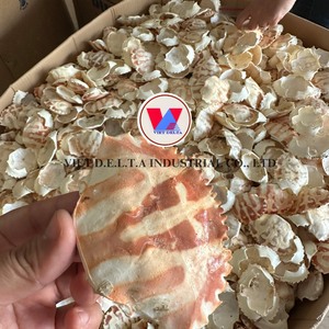 Dried <b>Crab</b> <b>Shell</b> Powder for Industrial Use - Vietnam - Product Image 2
