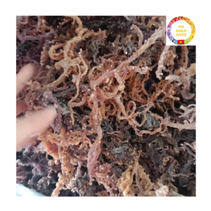 Algues Eucheuma Cottonii séchées de qualité supérieure 100 pour cent de mousse de mer biologique naturelle à haute teneur en collagène superaliment sain du Vietnam - Product Image 4