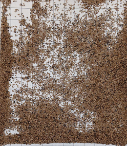 Graines de fraises entières séchées |   Certifié HACCP |   Qualité alimentaire |   Marque Planteon |   Origine Pologne |   Vente en gros B2B - Product Image 1