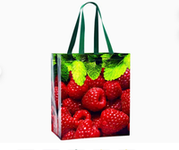 Fournisseur de sacs en PP tissé recyclé, imperméables, avec fermeture éclair, de haute qualité, pour le shopping et le transport de biens de consommation