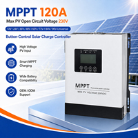 Direktvertrieb 120A MPPT Solar-Laderegler 230V PV-Eingang 12V-96V Batteriesystem LCD-Display OEM ODM Großhandel