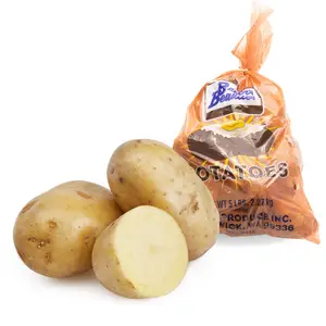 Atacado Premium New Fresh Alta Qualidade Holanda Batata Batata Fresca Produto Fornecedor Exportador em todo o mundo