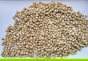 ข้าวฟ่างทั้งเม็ดสีขาวและสีแดง - Product Image 2
