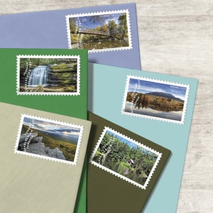 Us Forever Postage Mailing Timbres Sticker Usa Poat Mail Stamp Stickers American <span class=keywords><strong>Culture</strong></span> Stamp Stickers Lot for Travel Journaling - Product Image 5