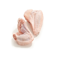 Ailes et pattes de poulet HALAL surgelées de qualité supérieure, 3 articulations, sans os ni peau, origine Pays-Bas, qualité 24 jours