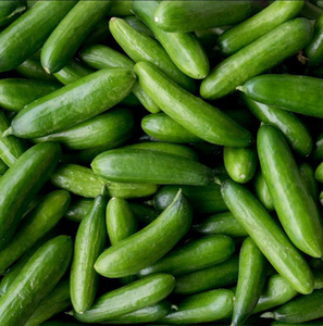 FOR SALE Cucumber Mini Munch Seeds - Grow Indoors & Outdoors - Vegetable - Product Image 5