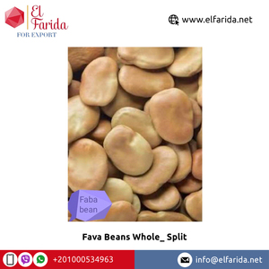 Egypt Origin Premium Grade Kidney and Fava <b>Beans</b> Good Quality Whole Split <b>for</b> Sale Competitive Price Bulk Packaging Exporter - Product Image 2