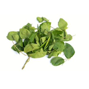 ใบสดจากสมุนไพรคุณภาพระดับพรีเมี่ยมสำหรับอาหารรสเลิศและการรักษาแบบดั้งเดิม - Product Image 1