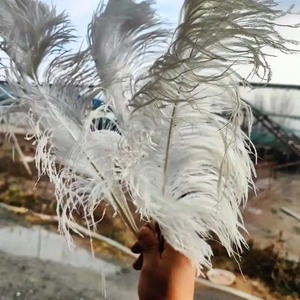 Fournisseur de plumes en gros pleine grandeur 25-30cm plumes d'autruche vert foncé naturel pas cher pour la vente d'artisanat - Product Image 6