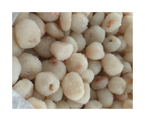 Lychee congelado pelado de alta calidad para exportación Origen de Vietnam-Sin aditivos Sabor Lychee congelado Vietnam al por mayor - Product Image 5