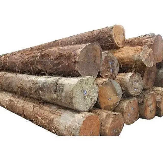 Бразильские дешевые сосновые/древесные/эвкалиптовые/березовые/Буковые/тиковые/Дубовые бревна для продажи с доставкой по всему миру