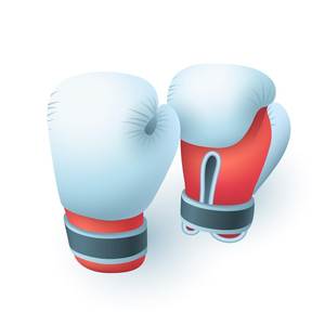 Equipo de boxeo de alta calidad - Product Image 3