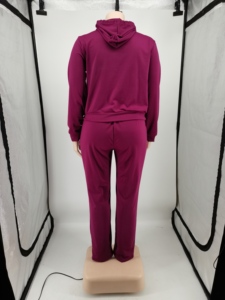 Otoño Invierno Joggers traje 2 piezas conjunto con capucha cremallera chaqueta conjunto pantalones de chándal mujeres chándal conjunto chándal talla grande ropa de mujer - Product Image 4