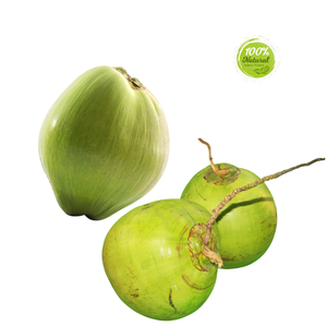 มะพร้าวบริสุทธิ์จากเวียดนามแบบสดหวานและเป็นธรรมชาติพร้อมเปลือก - Product Image 1