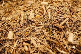 Energi tinggi kering jagung Silage persegi Bales makanan hewan kering ternak jerami untuk kuda & babi ternak untuk Pakistan - Product Image 2