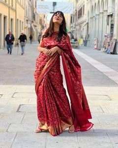 HERMOSO RICO PALLU Y JACQUARD TRABAJO EN TODA LA EXCLUSIVA FRONTERA DE JACQUARD DE SAREE By Fashionharbour - Product Image 4