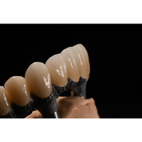 Blocs de zircone de disque à bas prix 98mm 95mm 14mm 16mm 20mm pour laboratoire dentaire Zirdent 3D-Pro-ML consommable dentaire multicouche en céramique