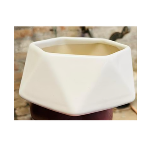 Maceta decorativa de cerámica perfecta para cactus suculentas o hierbas diseñadas para adaptarse a interiores modernos o rincones rústicos acogedores - Product Image 2