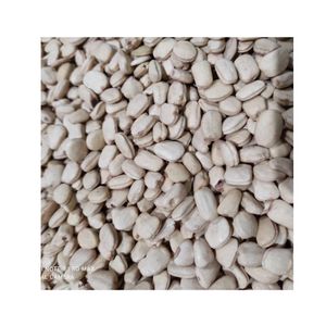Double langues de qualité supérieure Tamarindus Indica Seeds Herbal Exportateur du fabricant indien Durée de conservation de 12 mois - Product Image 5