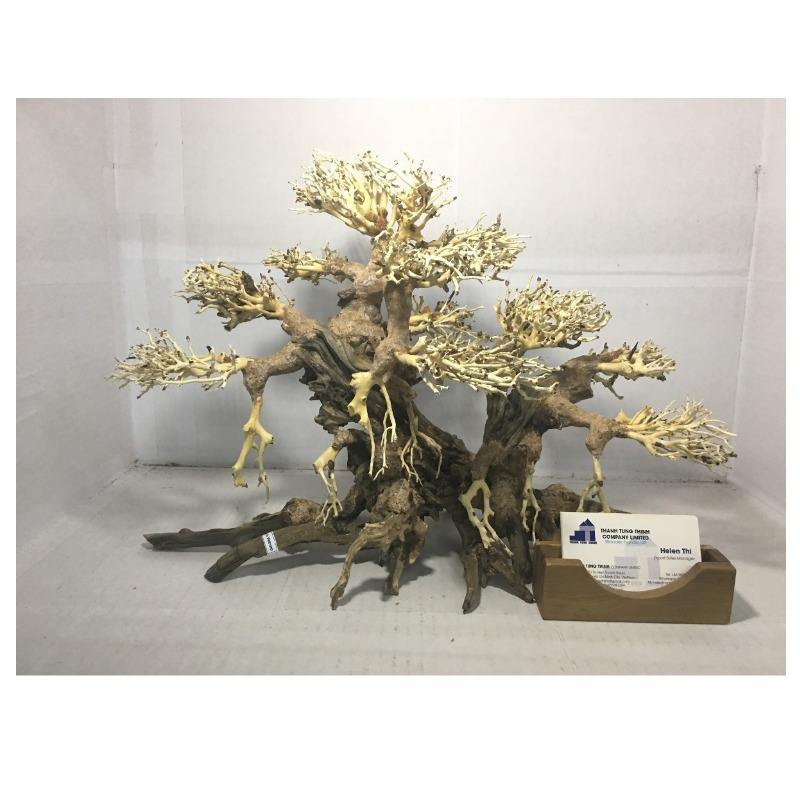 ธรรมชาติ