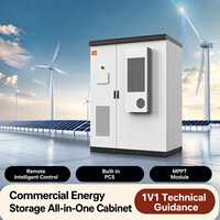 Sistema de Almacenamiento de Energía Industrial de 100kW 215kWh DD-ESS, Gabinete Integrado con MPPT Solar y Monitoreo Remoto en la Nube