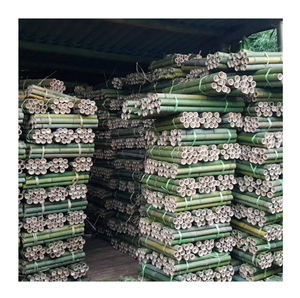 Varillas de Bambú Natural Cortadas por la Mitad para Soporte Agrícola, Jardinería y Aplicaciones de Artesanía - Product Image 1