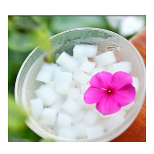 ก้อนวุ้นมะพร้าวสำหรับผลิตเครื่องดื่ม - Product Image 5