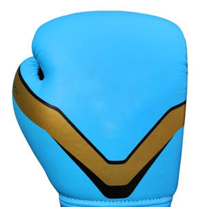 Haute qualité professionnel nom formation peau de vache gagnant gants de boxe nouveauté extérieur applicable gants en cuir de qualité - Product Image 6