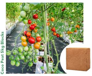 At Best Price of 5kg Coconut Coir Pith Block Coco Peat for Soilless Cultivation and Gardening - Product Image 5