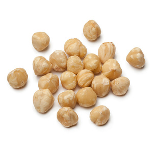 Noisettes fraîches récoltées, prêtes pour le chargement en vrac et la livraison rapide - Product Image 2