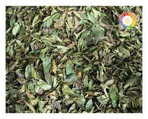 Hojas de Graviola de Vietnam para té Hojas de Guanábana secas de primera calidad para consumidores conscientes de la salud Pedidos a granel y paquetes al por menor listos - Product Image 2