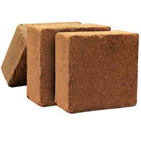 Après hydratation, le tourbe de coco s'étend considérablement en volume, ce qui en fait une solution économique pour l'agriculture à grande échelle.