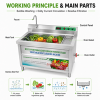 Eddy Current Fruit- en groentewasmachine, roestvrijstalen spoelbakwasser voor restaurantkeuken, rechtstreeks van de fabriek