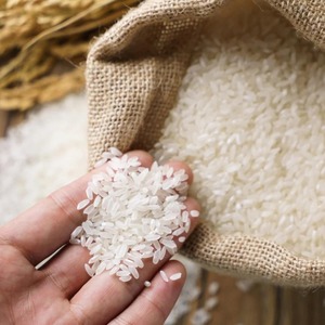 ใหม่ข้าวปากีสถานที่ดีที่สุดเป็นมิตรกับงบประมาณโดยตรงจากซัพพลายเออร์ ข้าวบาสมาติและไม่ใช่บาสมาติที่ดีที่สุด - Product Image 3