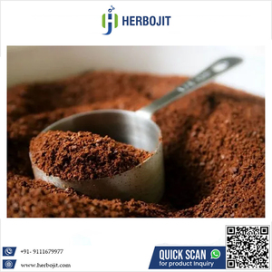 Poudre de chicorée séchée par pulvérisation naturelle Herbojit International, qualité supérieure, 100% naturelle, emballage en polybag, qualité alimentaire, goût intense - Product Image 6