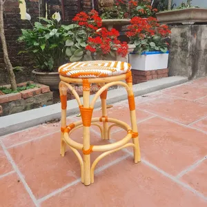 새로운 디자인 2023! 거실 의자, 가정 장식을 위한 혼합 색깔 길쌈된 등나무 발판
