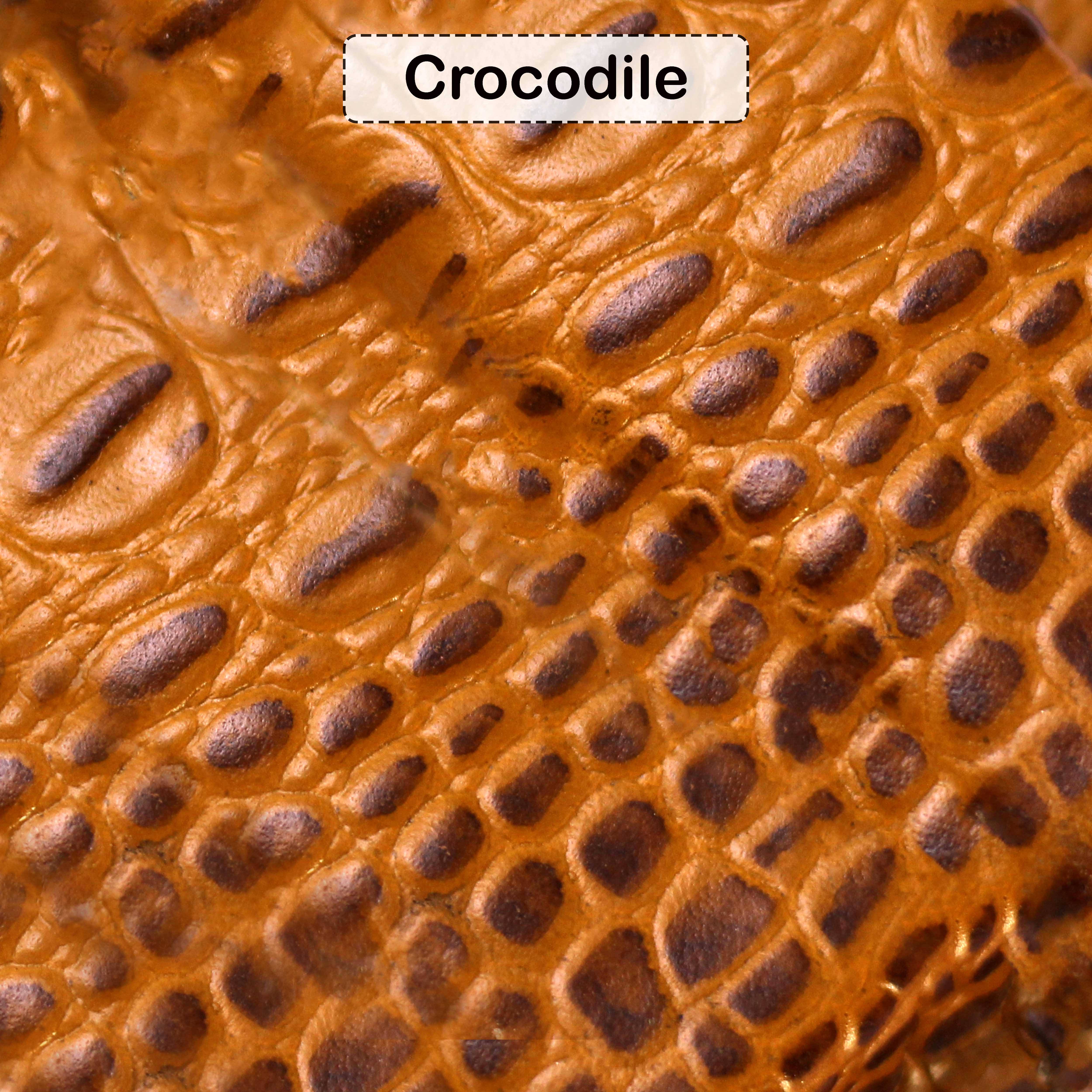 Crocodile