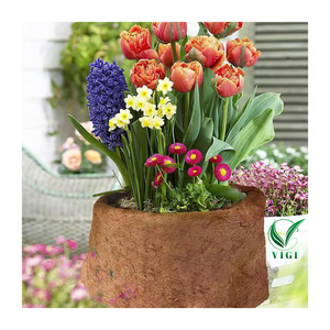 Estera de fibra de coco orgánica de Vietnam para proyectos verdes, vivero y retención de suelo - Product Image 4