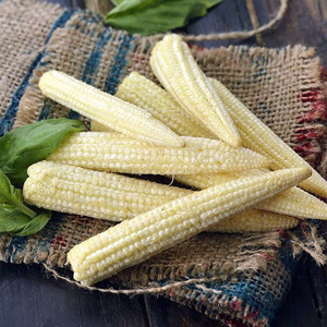 Suministro a granel: maíz bebé congelado superior de Vietnam - Product Image 1