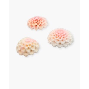 งานฝีมือหินดอกไม้เปลือกหอยราชินี - Product Image 2