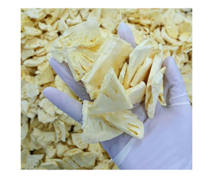 Usine directe anneaux d'ananas séchés asiatiques faible teneur en sucre en vrac Premium vente en gros anneaux d'ananas séchés asiatiques doux exportation Vietnam - Product Image 5