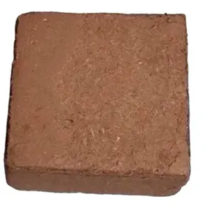 Supplier Powder Cocopeat Block With Cheapest Price From Vietnam COCO PEAT Block Coconut Coir coconut coir bricks AKINA