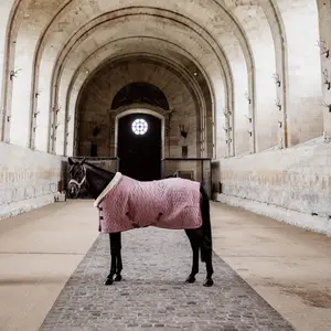 马装备马产品马术湿疹地毯透气组合稳定马地毯止痒地毯