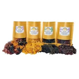 MEILLEUR SERVICE EUCHEMA COTTONII ALGUES SÉCHÉES COUTURE MOUSSE DE MER IRISH MOSS BONNE QUALITÉ VIETNAM - Product Image 1