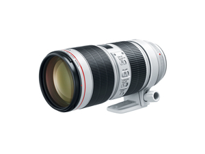 Nuevo EF 70-200mm F/2.8L IS III USM - Product Image 5