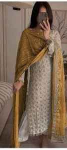 Ensemble Salwar Kameez en fausse fourrure pour femmes FABZONE, look de soirée, avec dupatta, sans plis et respirant - Product Image 6