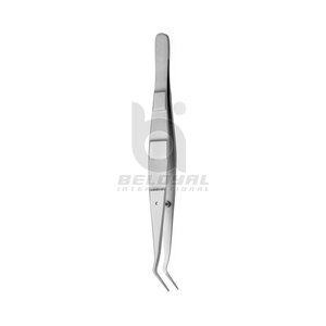 Alicates de algodón de alta precisión Pinzas dentales de acero inoxidable para instrumentos quirúrgicos Alicates de Algodón dental de grado médico - Product Image 6