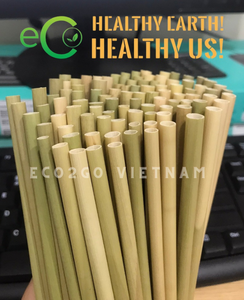 Vietnam 100% Pajitas de hierba orgánicas desechables | Pajitas de caña Producto ecológico saludable de alta calidad para 2024 por Eco2go Vietnam - Product Image 3